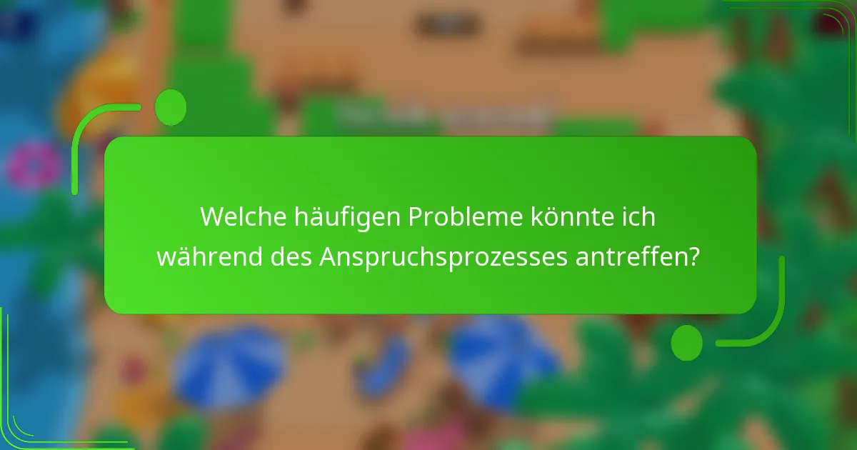 Welche häufigen Probleme könnte ich während des Anspruchsprozesses antreffen?